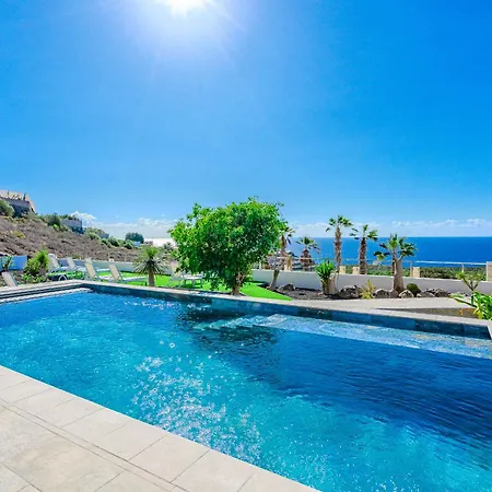 Cactus Tenerife Sud Piscine Chauffee 10 Personnes * Costa Adeje (Tenerife)