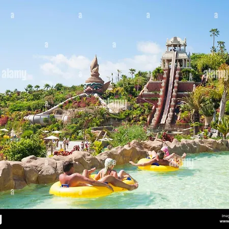 Cactus Tenerife Sud Piscine Chauffee 10 Personnes Willa