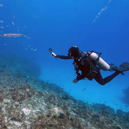 Cactus Tenerife Sud Piscine Chauffée 10 Personnes Villa