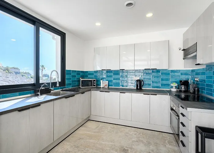 Cactus Tenerife Sud Piscine Chauffee 10 Personnes Willa