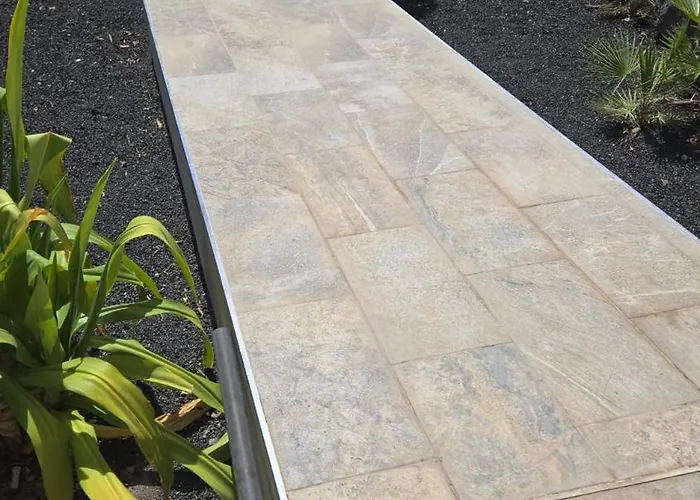 Cactus Tenerife Sud Piscine Chauffee 10 Personnes Willa *