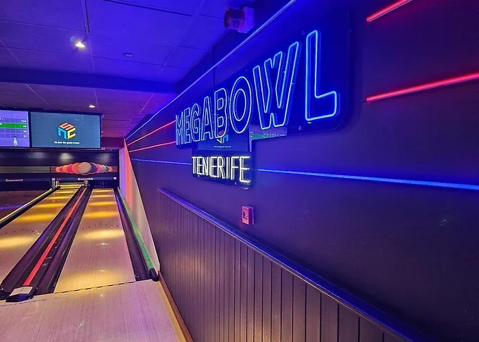 Cactus Tenerife Sud Piscine Chauffee 10 Personnes Willa