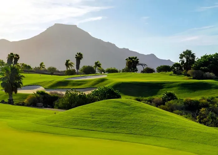 Cactus Tenerife Sud Piscine Chauffee 10 Personnes Willa