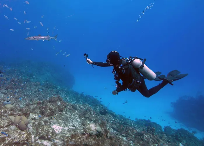Cactus Tenerife Sud Piscine Chauffée 10 Personnes Villa